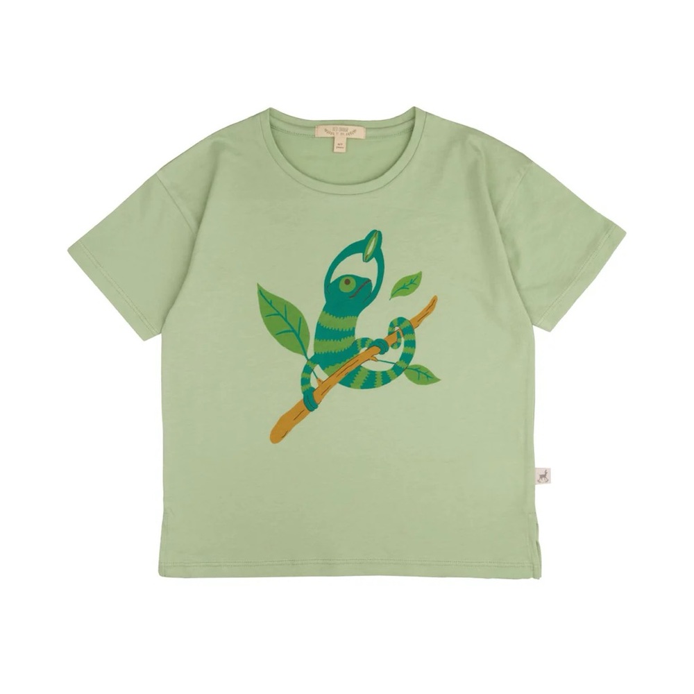 Red Caribou Chameleon Graphic Tee 2–3Y | Green Animal Shirt | Cute Kids Top